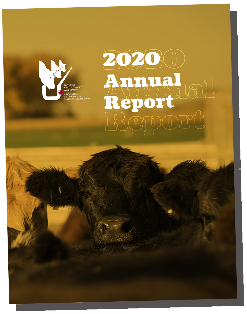 NCFA-Annual-Report-2020-cover