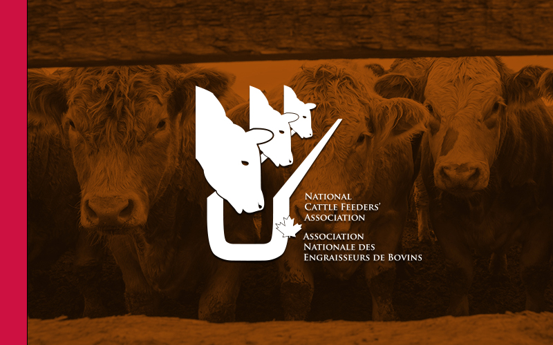 Alberta and National Cattle Feeders’ Associations announce new President and CEO